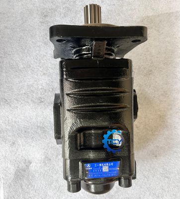 150107010038B Hydraulic Pump Assy 150107010039B Gear Pump for SW955 Sany Wheel Loader